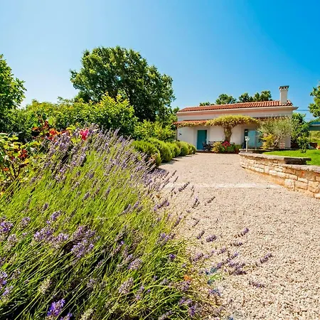 Vila Vineyard In Rovinj