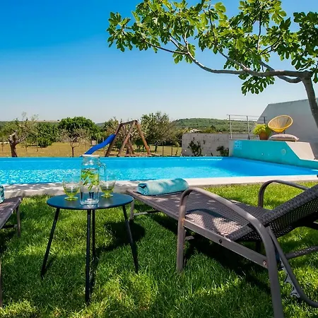 Vineyard In Vila *