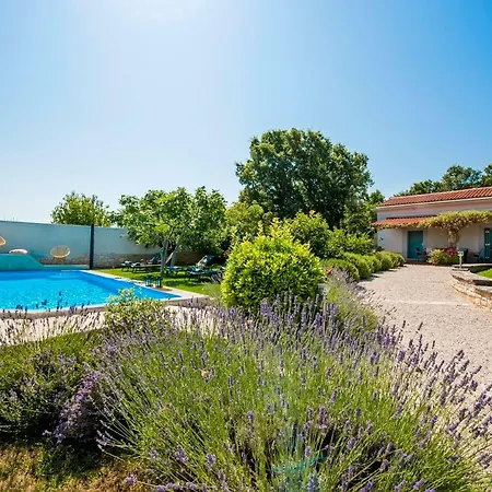 Vila Vineyard In *
